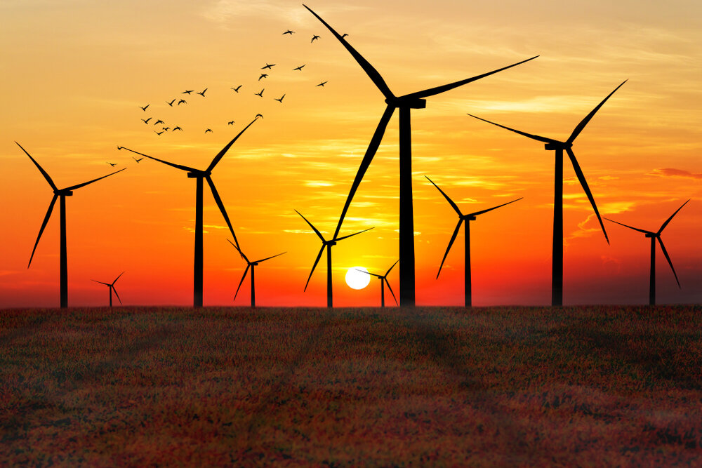 Silicon Valley Greens: Here Are the Top Environmental Givers From Tech