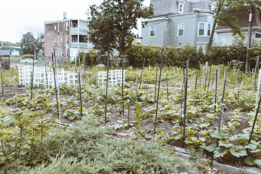 In Boston, a Foundation Sees “Radical Trust” as a Key to Managing Public Places