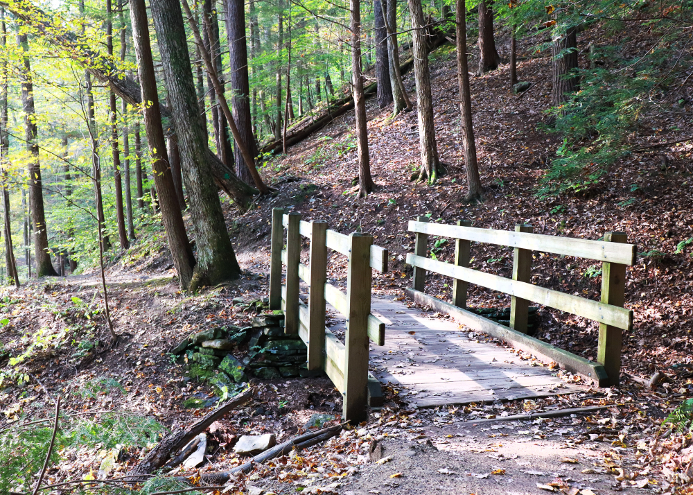 Take a Hike: Why a Foundation is Giving Millions for Nature Trails